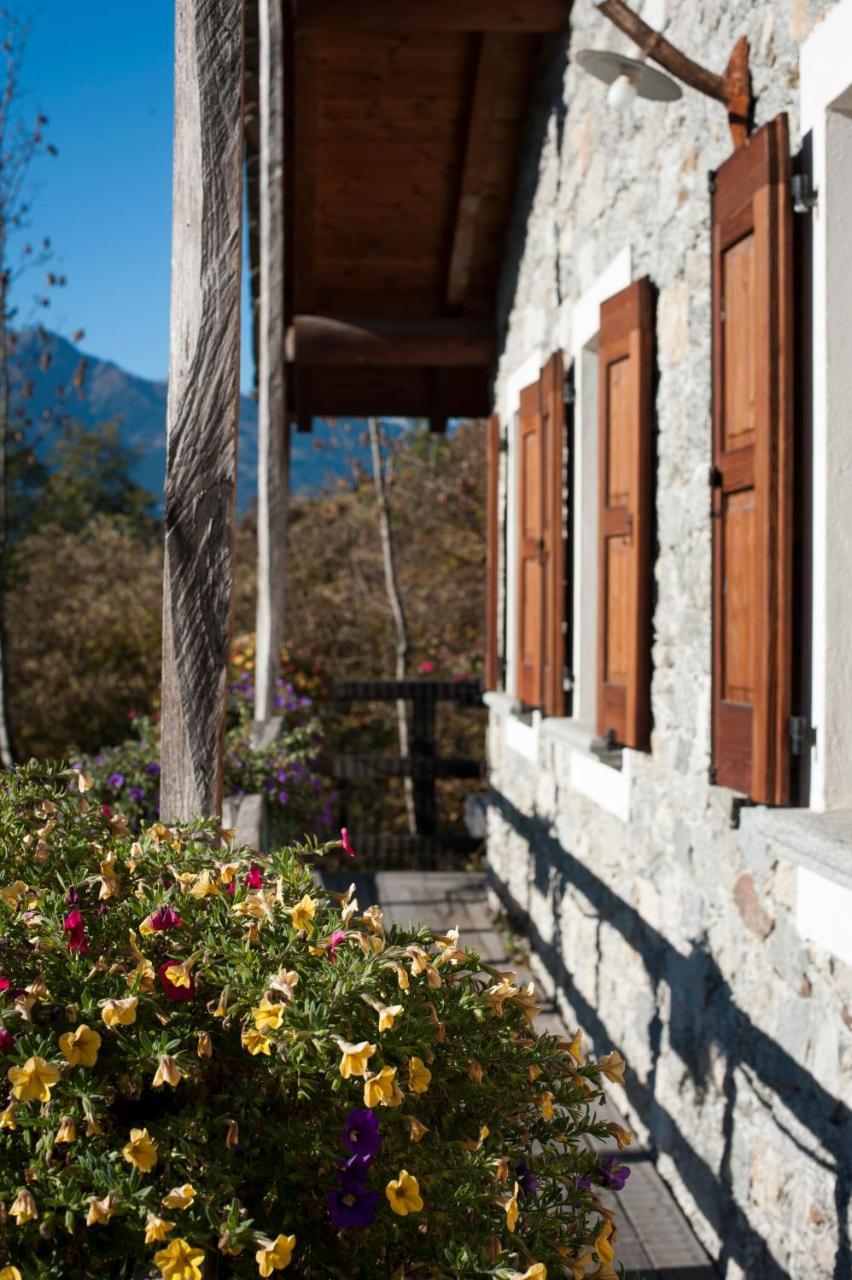 Agriturismo La Pedruscia Civo 외부 사진