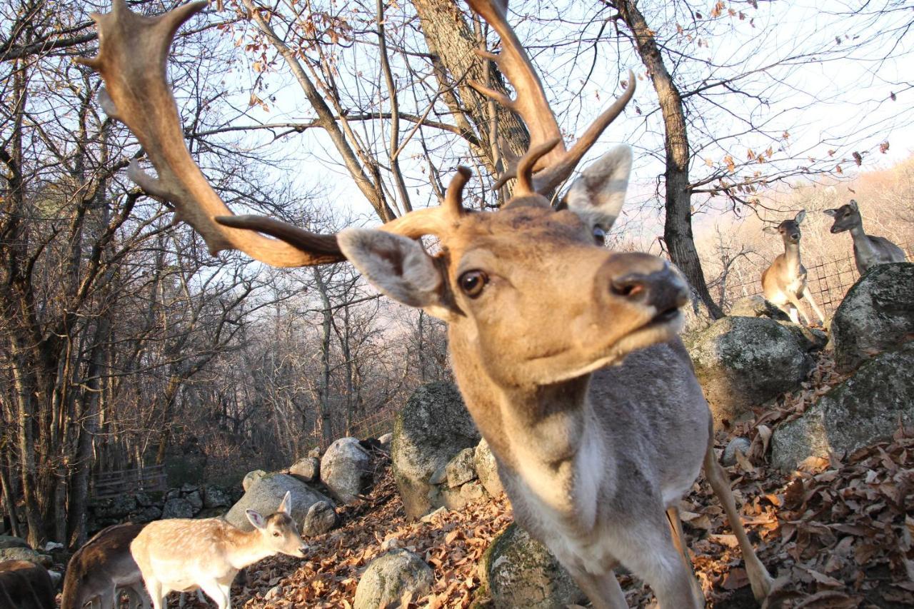 Agriturismo La Pedruscia Civo 외부 사진